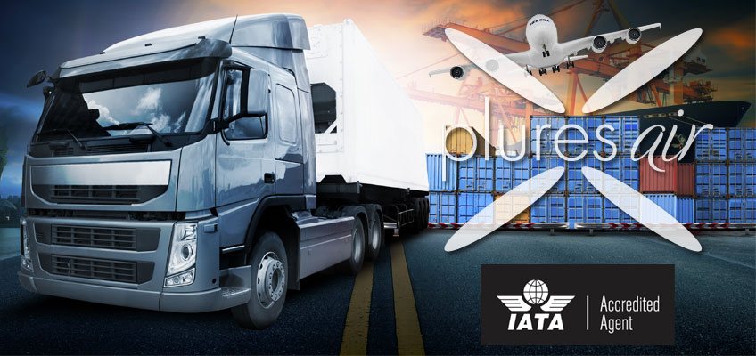 iata-turkish-cargo-agency